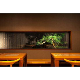 【ふるさと納税】すきやき松喜屋　特選近江牛すきやき・しゃぶしゃぶコース引換券 | 食事券 近江牛 すきやき しゃぶしゃぶ コース料理 ペア利用 人気 おすすめ 高級 和牛 送料無料 神奈川 鎌倉