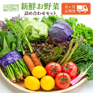 yӂ邳Ɣ[Łzuq΃uhvVN؋lߍ킹Zbg10`15i/1/4/6 | lC  l lߍ킹 Zbg VN lߍ킹Zbg ؃Zbg G߂