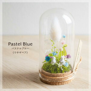 yӂ邳Ɣ[ŁzyJ[I\zv`EẴE [50mm]svU[uhۃeEt | A vg lC  