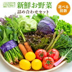 「鎌倉いちばブランド」新鮮お野菜詰め合わせセット | ふるさと 納税 楽天ふるさと 神奈川県 神奈川 鎌倉市 鎌倉 支援 支援品 返礼品 お取り寄せグルメ ご当地グルメ グルメ 野菜 やさい 詰め合わせ 野菜セット 旬の味覚 旬野菜 旬 美味しい おいしい 食品