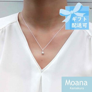 【ふるさと納税】シルバーティアドロップネックレス | アクセ ファッション 人気 おすすめ 送料無料