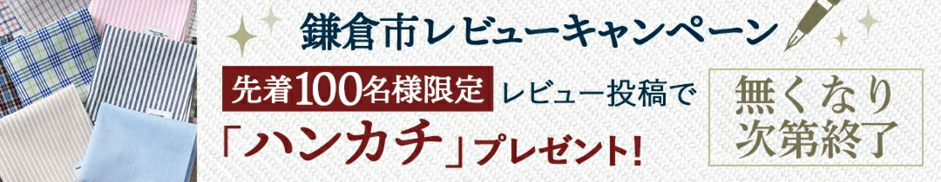 レビュー