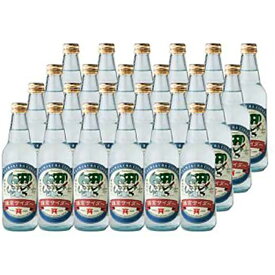 【ふるさと納税】鎌倉ビール「鎌倉サイダー24本セット」 | サイダー サイダーセット セット 詰め合わせ 人気 おすすめ オリジナルサイダー 鎌倉サイダー 送料無料 お土産 送料無料 湘南 鎌倉 神奈川