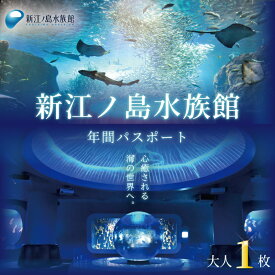 【ふるさと納税】 水族館 チケット 新江ノ島水族館 年間 パスポート 引換券 大人 1枚 江ノ島 江の島 えのすい 利用券 券 体験チケット イルカショー 体験型 アクティビティ 入場券 前売り券 お出かけ 家族 旅行 観光 トラベル 関東 すいぞくかん レジャー 神奈川 湘南 藤沢