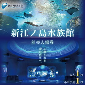 【ふるさと納税】 新江ノ島水族館 チケット 前売 入場券 (大人1枚、小・中学生1枚) 有効期間 チケット 水族館 イルカショー 利用券 引換券 券 体験チケット 体験型 アクティビティ 入場券 前売り券 動物 子ども 家族 旅行 観光 トラベル 関東 江の島 江ノ島 レジャー ギフト