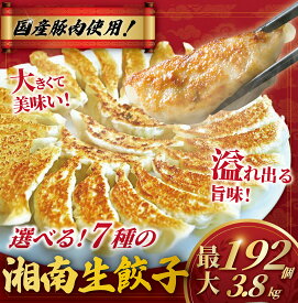 【ふるさと納税】 高評価 ★4.6 餃子 最大 192個 3.8kg 国産豚肉【 選べる ご当地餃子 7種 】 ぎょうざ 豚肉 豚 肉 ( ふるさと納税 お肉 肉餃子 野菜餃子 ふるさと納税 焼き餃子 ギョーザ 冷凍餃子 ふるさと納税 ふるさと納税 人気 ランキング 大容量 おすすめ ) 神奈川 藤沢