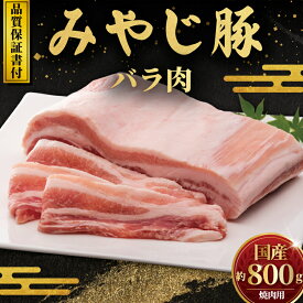 【ふるさと納税】 豚ばら スライス ブロック 2種 計 800g 豚 みやじ豚 ブランド豚肉 焼肉用 ブロック 国産 ぶたにく ぶた 豚バラ buta BBQ バーベキュー 焼き肉 しゃぶしゃぶ 真空 パック ポーク すきやき すき焼き お肉 肉 おにく niku BBQ 冷蔵 生肉 神奈川 湘南 藤沢