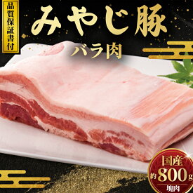 【ふるさと納税】 ブロック肉 国産 豚バラ 800g みやじ豚 ブロック バラ 塊肉 豚 ブランド豚肉 国産 国産豚 ぶたにく にく ぶた buta BBQ バーベキュー ばら肉 焼き肉 真空 パック ポーク すきやき すき焼き お肉 肉 おにく niku BBQ 冷蔵 生肉 神奈川 湘南 藤沢
