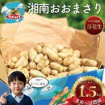 楽天市場】ふるさと納税 生 落花生の通販