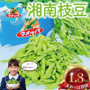 yӂ邳Ɣ[Łz ܂ 1.8kg  }  ̂ Ƃꂽ ÓY s\ 2026N7 VN  ܂ edamame mame }  G_}  ֗ Â Z {   ₳ 