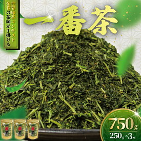 【ふるさと納税】 訳あり 茶葉 750g ( 250g × 3本 ) ちゃば お茶っ葉 1番茶 茶師のまかない1番茶 一番茶 日本茶 緑茶 茶 茶師 わけあり 焙煎 国産 旨味 渋み 数量限定 訳アリ 訳あり品 日用品 手土産 茶来未 自家製 オリジナル 不揃い 厳選 お茶 茶来未 神奈川 湘南 藤沢