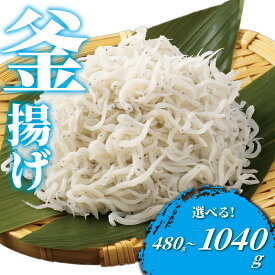 【ふるさと納税】 しらす 計480g 〜 1kg 以上 釜揚げしらす 4パック シラス 魚 釜揚げ 湘南しらす sirasu じゃこ ちりめん しらす干し 江の島しらす イワシ 小分け 便利 海鮮 新鮮 魚介 魚貝 小魚 ごはん 米 おかず 海鮮丼 冷凍 江の島 江ノ島 とびっちょ 神奈川 湘南 藤沢