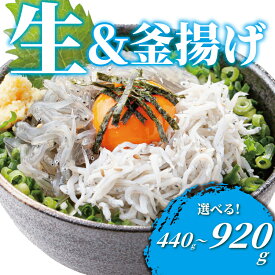 【ふるさと納税】 生しらす 釜揚げしらす 計440g ~920g 選べる 内容 魚 釜揚げ 生 シラス 湘南しらす sirasu じゃこ ちりめん しらす干し 江の島しらす カタクチイワシ イワシ 小分け 海鮮 魚介 魚貝 小魚 海鮮 冷凍 セット 贈答 江の島 江ノ島 とびっちょ 神奈川 湘南 藤沢