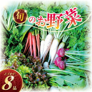 【ふるさと納税】 訳あり 旬 の 野菜セット 8品 種類おまかせ 旬 野菜 やさい yasai ヤサイ 野菜セット やさいセット 旬の野菜 お野菜 春野菜 夏野菜 秋野菜 冬野菜 不揃い おまかせ 訳アリ 訳