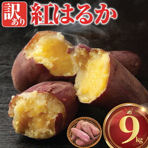 yӂ邳Ɣ[Łz 󂠂 g͂邩 9kg 10{ ܂ A L Tc}C F ܈ fU[g ׂɂ͂邩 XC[c È XC[g|eg sweet potato    C { H
