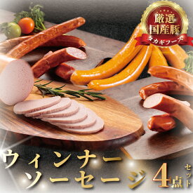 【ふるさと納税】 ウインナー ソーセージ 4点 詰め合わせ セット 国産肉 粗びき 細びき サラミ 名店 お肉 食べ比べ 肉 おにく 詰合せ つめあわせ niku 豚肉 おつまみ ビール お取り寄せ ギフト 贈り物 贈答 おすすめ 加工 食品 冷蔵 国産 タカギフーズ 神奈川 湘南 藤沢
