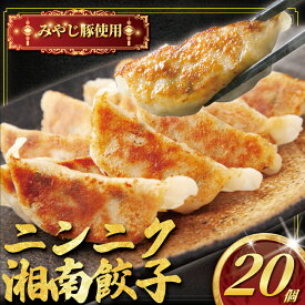 【ふるさと納税】 肉汁たっぷり にんにく餃子 20個入り みやじ豚 冷凍餃子 ブランド豚 100% ニンニク 餃子 ぎょうざ ギョウザ ギョーザ ぎょーざ 焼き餃子 水餃子 gyouza おつまみ おかず 一口 お惣菜 国産 中華 お取り寄せ ギフト お土産 冷凍 加工 食品 神奈川 湘南 藤沢