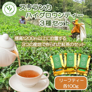 yӂ邳Ɣ[Łz g t  gZbg eB[ 3 Zbg 100g × 3 Mtg v[g XJ tbVeB[ nCOEeB[ VN   gX X C\u`