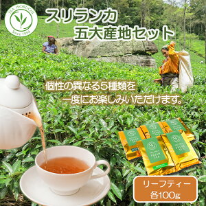 yӂ邳Ɣ[Łz g t XJ tbVeB[ eB[ 5Yn Zbg 100g × 5 Mtg v[g tbV  gZbg VN   gX C\u`Jpj[ 