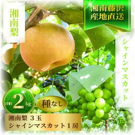 【ふるさと納税】 シャインマスカット 梨 2kg セット 詰め合わせ なし ぶどう フルーツ 果物 豊水 あきづき ブドウ マスカット 湘南梨 旬 粒 糖度 ジュース ボンボン 緑 年 日 ふるさと お取り寄せ 贈り物 ギフト 神山果樹園 神奈川 湘南 藤沢