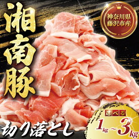 【ふるさと納税】 ぶたにく 計 1 ~ 3 kg 250g × 4 ~ 12 パック 切り落とし 湘南豚 国産豚肉 豚 肉 お肉 ぶた BBQ バーベキュー ポーク 国産ポーク 焼き肉 やきにく カレー しゃぶしゃぶ きりおとし 人気 生姜焼き 豚丼 鍋 お肉 肉 おにく niku buta 生肉 神奈川 湘南 藤沢
