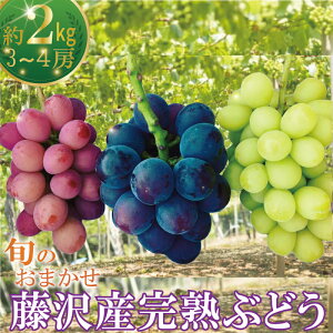 yӂ邳Ɣ[Łz Ԃǂ s\ 2kg 3[4[ y2026N8{zE uhE   ʕ t[c { n  ӂ݂̂ VC}XJbg NC[j[i BKV[h