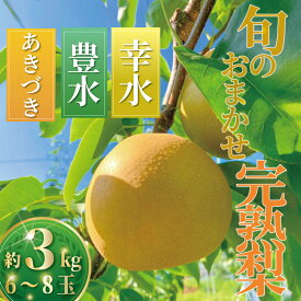 【ふるさと納税】 梨 なし ナシ 約3kg 6〜8玉 くだもの 果物 フルーツ nasi 旬 新鮮 完熟 先行予約 数量限定 産地直送 農家直送 幸水 豊水 あきづき プレゼント ギフト 贈り物 有機肥料 冷蔵 鈴木園 神奈川 湘南 藤沢
