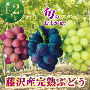 �y�ӂ邳�Ɣ[�Łz �Ԃǂ� ��s�\�� ��1kg ~ 2kg 2�[~4�[ �I�ׂ� �e�� �y2026�N8�����{�����z���E�� �u�h�E ���� �������� �ʕ� �t���[�c �{ ���n ���� �ӂ��݂̂� �V���C���}�X�J�b�g �N�C�[���j