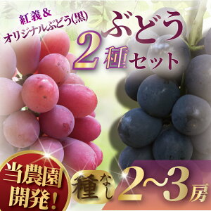 yӂ邳Ɣ[Łzys\z Ԃǂ ÓIWiԂǂZbg Yn ʕ  fU[g t[c {̃t[c  uhE ԂԂǂ 햳 Ȃ   蕨  