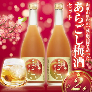 �y�ӂ邳�Ɣ[�Łz �����V���� ���n�~�ő������u���n���炲���~���v 2�{�Z�b�g �~ ���� ume �a�̎R���Y ���n�썂�~ �r �t���[�c �t���[�e�B ���炲�� �s���[�� �t���b�V�� �~�{���̂��܂� ��