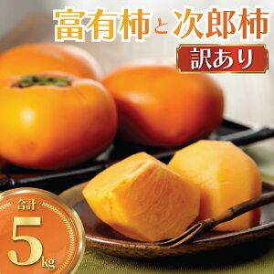 yӂ邳Ɣ[Łz ` xL` Y` 5kg i킨܂ 󂠂 A 킯  JL   ʕ ʎ t[c { VN s\ ʌ Yn _ƒ N r^~ 