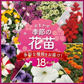 【ふるさと納税】 季節 の 花苗 おまかせ 18 ポット 花 生産農場 直送 寄せ植え ガーデニング 緑 はな hana ペチュニア ベゴニアセンパ マリーゴールド 赤サルビア ポーチュラカ一重 八重 バーベナ パンジー ビオラ 葉ボタン アリッサム 苗 植物 渡辺花園 神奈川 湘南 藤沢