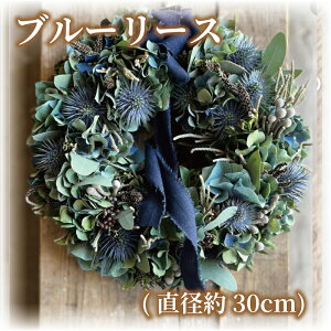 �y�ӂ邳�Ɣ[�Łz �u���[���[�X �u���[ ���[�X ��s�\�� �� ���Ԍ��� �t���b�V�����[�X �C���e���A �v���[���g ���� �͂� ���͂� �M�t�g �t���b�V�� ���蕨 ���� ���킢�� ������� �t�����[