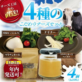 【ふるさと納税】 チーズ ブラウンチーズ チーズ セット 4種 ブラウンチーズ入 モッツァレラチーズ ペースト チギチー さけるチーズ 手作 乳製品 CHEESE 新鮮 極生 モッツァレラ ちーず ナチュラルチーズ Aprotodo’S株式会社 1万円 10000円 RRAAP BREWERY 神奈川 湘南 藤沢