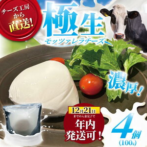 yӂ邳Ɣ[Łz N ! 12/21ϊ܂ `[Y bc@ `[Y 4 ɐ bc@`[Y [ i``[Y cheese tbV`[Y ~N VN o  r[