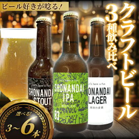 【ふるさと納税】 ビール クラフトビール 飲み比べ 3種 ラガー スタウト IPA 選べる本数 3本〜6本 お試し beer 麦酒 びーる 地ビール 酒 craft beer クラフト ご当地 家飲み 直送 人気 Aprotodo’S株式会社 RRAAP BREWERY 神奈川 湘南 藤沢