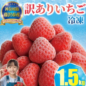 yӂ邳Ɣ[Łz Ⓚ 1.5kg s\ ւς   C`S Xgx[ 󂠂 L A i ܂ 召 s ʕ  Ⓚ t[c Â fU[g X