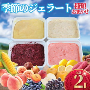 yӂ邳Ɣ[Łz WF[g 2L 500ml × 4 Zbg 2kg e ACX Ice sgp ܂ lߍ킹  ACXN[  [ XC[c fU[g ʕ  { t[c 