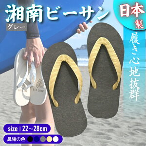 yӂ邳Ɣ[Łz r[`T_ r[T O[ @ 5F TCY { Y T_   Y fB[X uh ₷ v  C C l T[tB GR с[