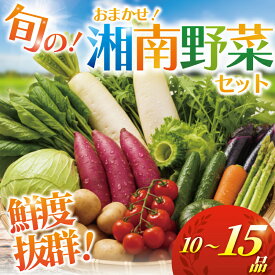 【ふるさと納税】 野菜 セット 旬 の 湘南野菜 おまかせ セット 10 〜 15品 お任せ 詰め合わせ 野菜セット やさい やさいセット yasai きゅうり トマト なす ねぎ さといも 小松菜 白菜 玉ねぎ とまと キュウリ ヤサイ yasai 旬の野菜セット 新鮮 数量限定 神奈川 湘南 藤沢