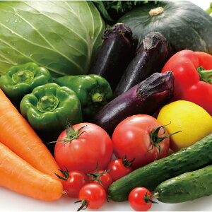 yӂ邳Ɣ[Łz ̂ VN  Zbg  5kg ނ܂ { ₳ yasai TC ؃Zbg ₳Zbg {̖ t Ė H ~ ܂ ʌ _ƒ Yn 