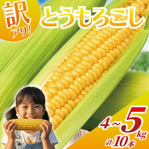 yӂ邳Ɣ[Łz 󂠂 Ƃ낱 v 10{  4 ` 5kg ܂ ̗d ~tB[ A L ̂ Ƃꂽ gERV s\ 2026N6 R[ VN Ƃ Y 