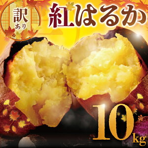 yӂ邳Ɣ[Łz 󂠂 ܂ g͂邩 10kg A L Tc}C F ܈ fU[g ׂɂ͂邩 XC[c È XC[g|eg  C { H H̖o  H@