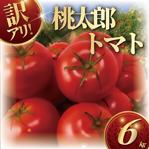 yӂ邳Ɣ[Łz 󂠂 nEXYg}g6kg g}g  ₳ ʕ Ƃ܂ 2026N4 tomato Â Rs g}g t[c s\ 2026N Yn ʌ _ƒ Nx VN y