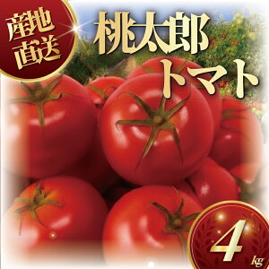 yӂ邳Ɣ[Łz nEXYg}g4kg g}g  ₳ ʕ Ƃ܂ 2026N4 tomato Â Rs g}g t[c s\ 2026N Yn ʌ _ƒ Nx VN yk͔| 