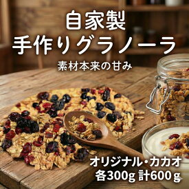 【ふるさと納税】 自家製 グラノーラセット 2種 計600g 各300g オリジナル カカオ クランベリー ぐらのーら オートミール ココナッツミルク 全粒粉 gurano-ra ヨーグルト お菓子 おやつ 栄養 きび砂糖 ココナッツ スパイス FineFoods 神奈川 湘南 藤沢