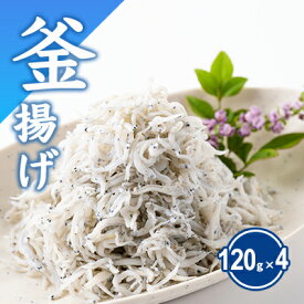 【ふるさと納税】 しらす 計480g 〜 1kg 以上 釜揚げしらす 4パック シラス 魚 釜揚げ 湘南しらす sirasu じゃこ ちりめん しらす干し 江の島しらす イワシ 小分け 便利 海鮮 新鮮 魚介 魚貝 小魚 ごはん 米 おかず 海鮮丼 冷凍 江の島 江ノ島 とびっちょ 神奈川 湘南 藤沢