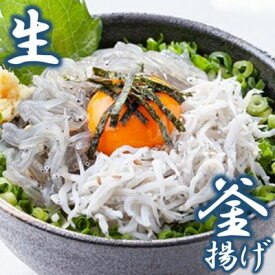 【ふるさと納税】しらす 問屋 とびっちょ 生しらす 釜揚げしらす セット　【 しらす干し 】