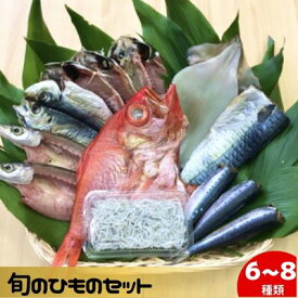 【ふるさと納税】 干物 旬の魚 6～8種 セット 旬 国産 ひもの セット 詰め合わせ 海鮮 魚 魚介 海の幸 ヒモノ himono 干し 自家製造 焼魚 焼き魚 さかな サカナ おつまみ 弁当 惣菜 おかず 米 ご飯 ご飯のお供 冷蔵 母の日 父の日 贈答 夜ご飯 鈴伝商店 神奈川 湘南 藤沢