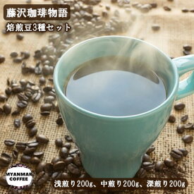 【ふるさと納税】 コーヒー 豆 詰め合わせ 計600g 200g×3P 藤沢珈琲物語 珈琲 飲み比べ 浅煎り 中煎り 深煎り 飲み比べ 焙煎 濃厚 ドリップ 中煎り ブレンド 深煎り コーヒー ギフト 贈答 贈り物 株式会社 フィーリングマン 神奈川 湘南 藤沢